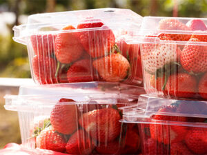 Catering Products